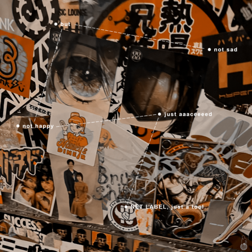 [BS-024] V.A. - brutshits compilation 5
